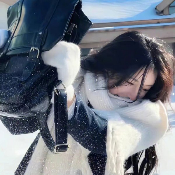 尘与雪